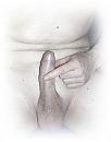 Ladies..? :-), foto 2192x2766, 0 reacties, 1 stemmen