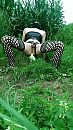 Latex geil in de mais, foto 608x1075, 3 reacties, 11 stemmen