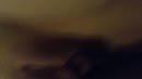Lekker bezig.., film 00:00:01, 5 reacties, 48 stemmen
