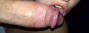 Lekker likken, foto 800x306, 9 reacties, 84 stemmen