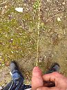Lekker plassen, foto 2448x3264, 0 reacties, 1 stemmen