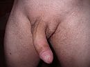Lievebeer, foto 2048x1536, 4 reacties, 9 stemmen