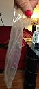 Lucy ontvangt vroeg, foto 1318x2989, 2 reacties, 8 stemmen