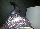Me sexy nylons, foto 3264x2448, 5 reacties, 21 stemmen