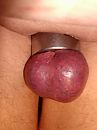 Met ball stretcher, foto 1200x1600, 0 reacties, 2 stemmen