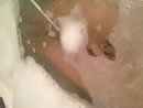 Mijn ex met een douche kop!!, film 00:00:01, 2 reacties, 17 stemmen