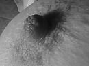 Close-up, foto 2048x1536, 13 reacties, 67 stemmen