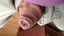 Natte eikel close up, film 00:00:01, 5 reacties, 13 stemmen