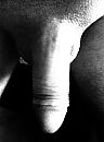 Net gedouched, foto 1530x2048, 2 reacties, 6 stemmen