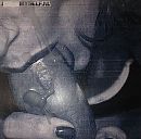 Niet zo mijn ding, foto 1989x1961, 1 reacties, 22 stemmen