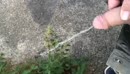 Nodig pissen, film 00:00:00, 16 reacties, 32 stemmen