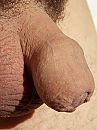 Nog in de verpakking, foto 3000x4000, 1 reacties, 2 stemmen