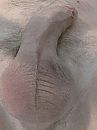 Ontspannen op bed 2, foto 960x1280, 0 reacties, 0 stemmen