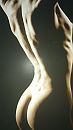 Ook uit die reportage, foto 2250x4000, 54 reacties, 241 stemmen