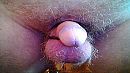 Ook, foto 1280x720, 14 reacties, 26 stemmen