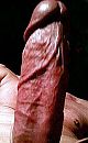PAK 'M MAAR STEVIG BEET!!, foto 255x410, 1 reacties, 2 stemmen