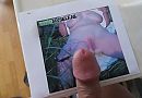 Paddestoel, foto 543x377, 1 reacties, 14 stemmen