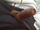 Paraat, foto 3264x2448, 4 reacties, 11 stemmen