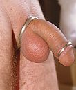 Pas geschoren, foto 1589x1868, 2 reacties, 7 stemmen