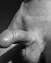 Penis, foto 1164x1425, 0 reacties, 4 stemmen