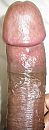 PikZwart, foto 520x1360, 2 reacties, 2 stemmen