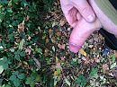 Pik, foto 3264x2448, 5 reacties, 12 stemmen
