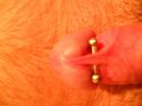 Proberen?, foto 4000x3000, 2 reacties, 4 stemmen