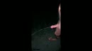 R_pis, film 00:00:00, 5 reacties, 19 stemmen