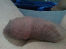 Rust., foto 2592x1944, 0 reacties, 2 stemmen