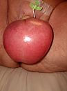 Saline Balls, foto 1200x1600, 0 reacties, 3 stemmen