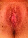 Sappig kutje, foto 960x1280, 3 reacties, 22 stemmen