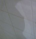 Schaduw, foto 916x980, 15 reacties, 77 stemmen