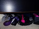 Sneaky sextoy, foto 4000x3000, 1 reacties, 10 stemmen