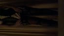 Special deLIGHTS, film 00:00:06, 7 reacties, 75 stemmen