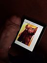 Spuitfoto met cockring, foto 1536x2048, 1 reacties, 5 stemmen