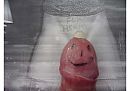 Stephanie meets Hermy Spermy, foto 1755x1241, 1 reacties, 1 stemmen