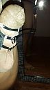 Strapped...., foto 2250x4000, 0 reacties, 2 stemmen