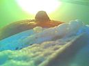 Sunshine, foto 1280x960, 7 reacties, 49 stemmen