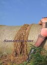 Tegen de rollen, foto 404x560, 2 reacties, 23 stemmen
