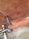 Toe catch, foto 960x1280, 3 reacties, 19 stemmen