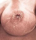 Up close and personal..., foto 670x745, 4 reacties, 52 stemmen