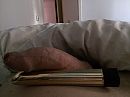 Vibo vs echt, foto 2048x1536, 1 reacties, 1 stemmen