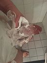 Voelt zo lekker, foto 2448x3264, 0 reacties, 4 stemmen
