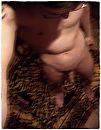 Vogelperspectief, foto 2204x2825, 0 reacties, 2 stemmen