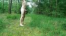 Volledig naakt in de natuur, foto 1287x713, 5 reacties, 19 stemmen