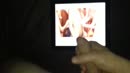 Voor spannendmeisjex, film 00:00:16, 4 reacties, 21 stemmen