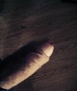 Voor Klaproos, foto 411x489, 1 reacties, 2 stemmen