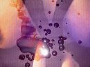 Voor u, foto 2272x1704, 1 reacties, 0 stemmen