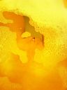 Wat is water toch nat.., foto 599x803, 7 reacties, 41 stemmen