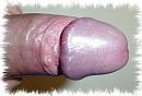Welke, foto 1348x915, 2 reacties, 5 stemmen